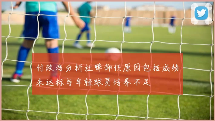 付政浩分析杜锋卸任原因包括成绩未达标与年轻球员培养不足